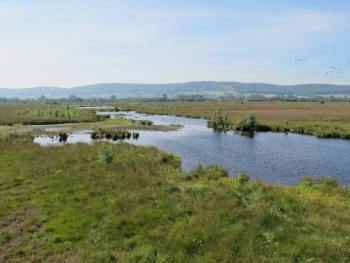 Großes Torfmoor in Nordrhein-Westfalen