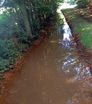 Verockerung im Spreewald